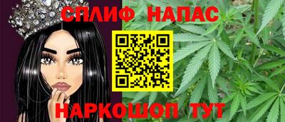 шишки Ставрополь