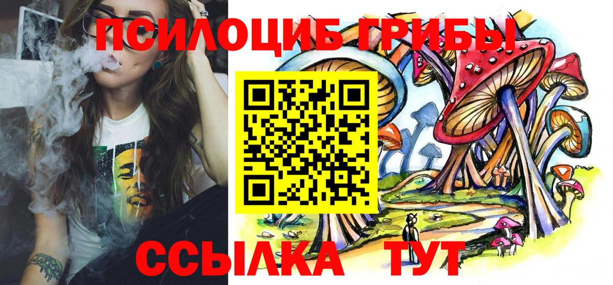 Псилоцибиновые грибы мицелий Белово