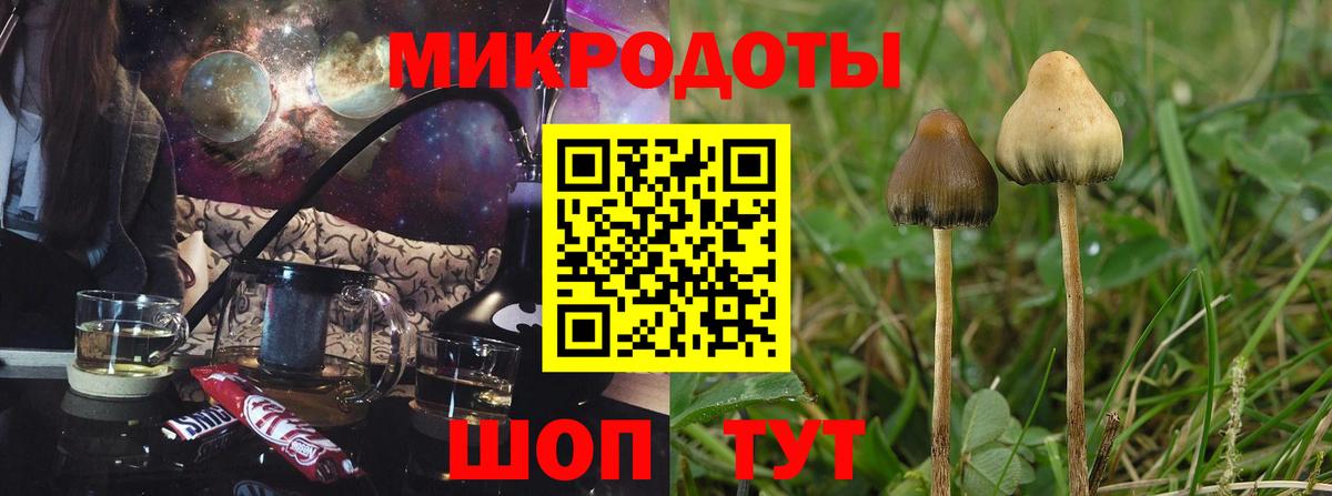 Белово  Псилоцибиновые грибы ЛСД  наркошоп  Вход с VPN 